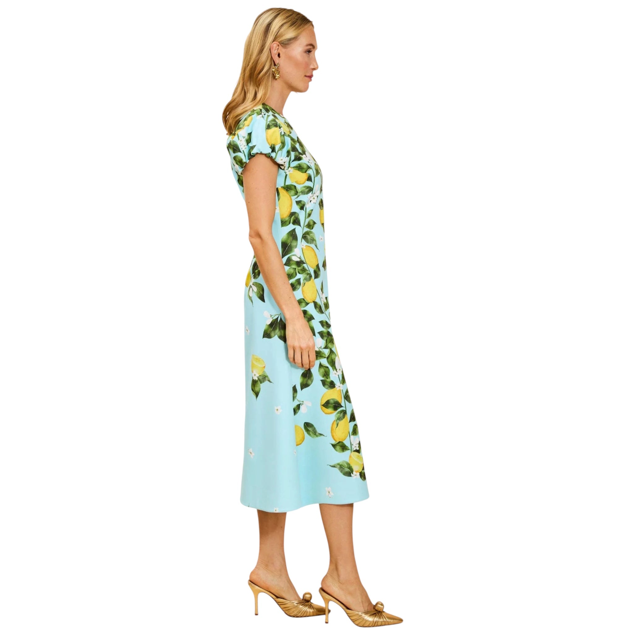 Mestiza Perla Midi Dress